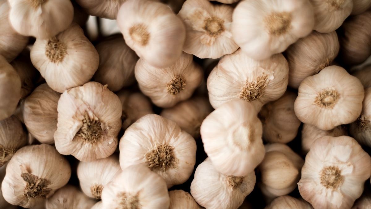 Calabaza nutritiva